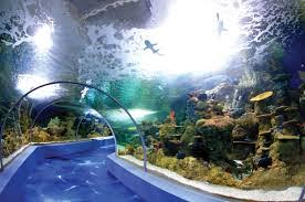 اكبر حوض سمك في العالم