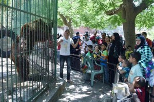 إزدحام شديد على الحدائق والمتنزهات  في ثالث أيام العيد بالإسكندرية   7