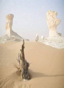 أحد التشكيلات الحجريه فى الصحراء البيضاء لشبه أنسان يرفع رأسه لأعلى يتعبد أو يصرخ
