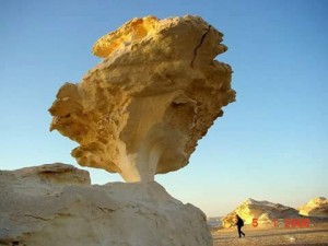 أحد التشكيلات الحجزيه التى تنتشر فى الصحراء البيضاء مثل الماشروم او عيش الغراب