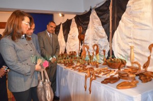 افتتاح المعرض السنوي لجمعية الصعيد حجازة واخميم7