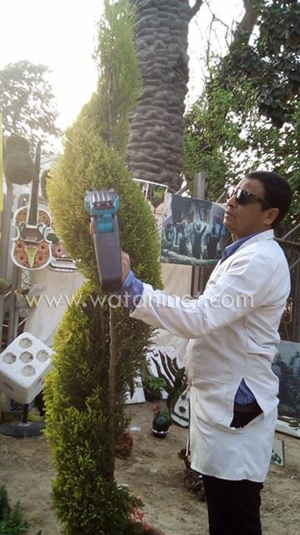 هشام الجلاد فنان نحت الاشجار والنباتات (4)